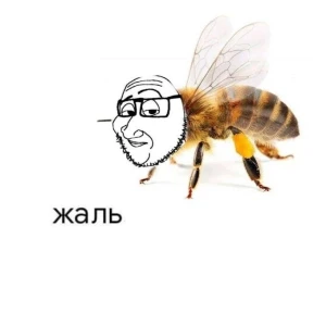 Natheeck