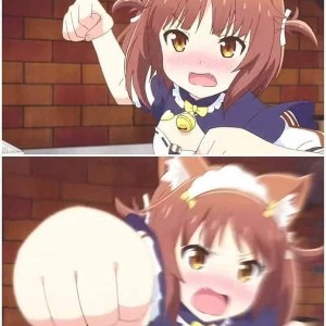 Soup