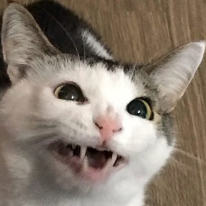 marakuja_