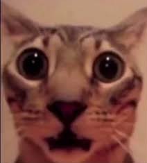 Numkl