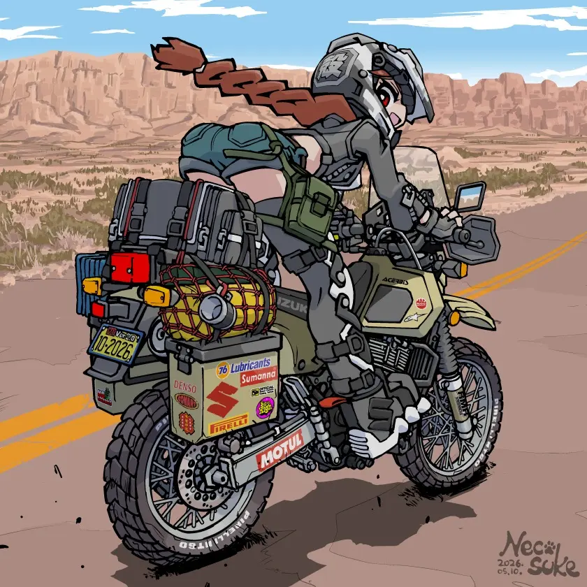 2007 Suzuki DR650
