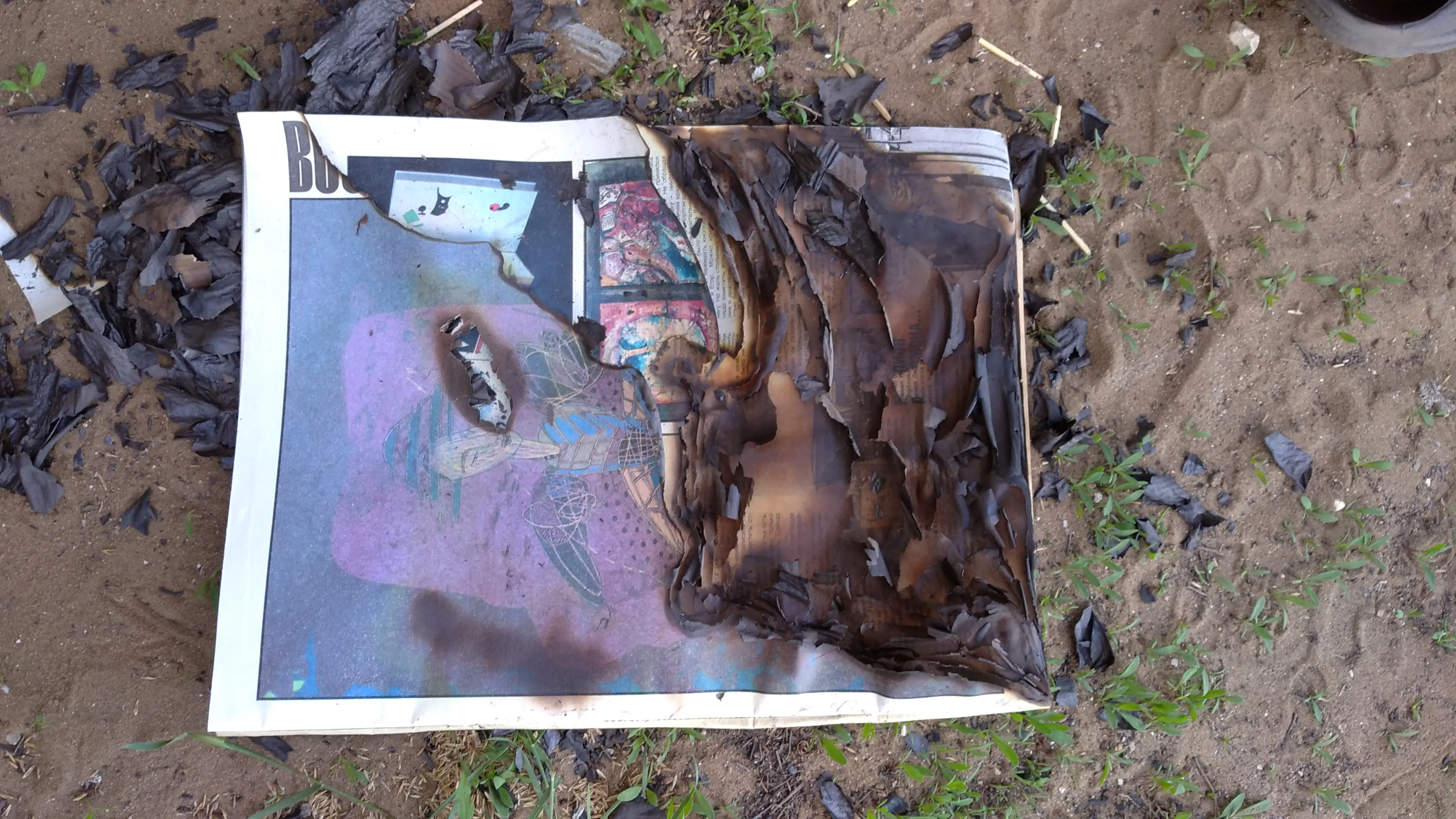 Процесс создания цифрового буклета