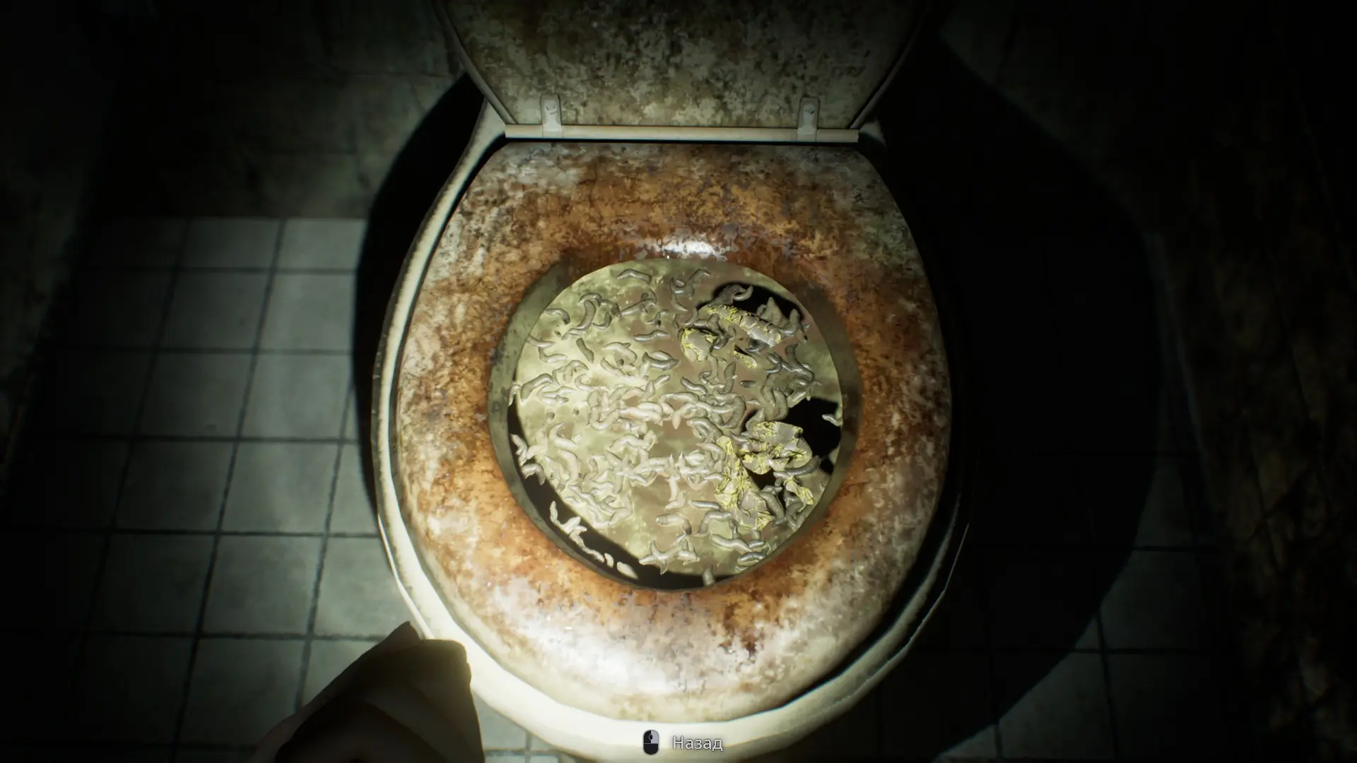 куда же в хороре без грязного толчка. спасибо, что руками в него лезть не требуют