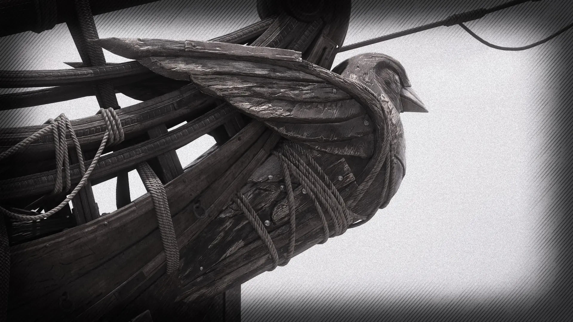 Jackdaw.