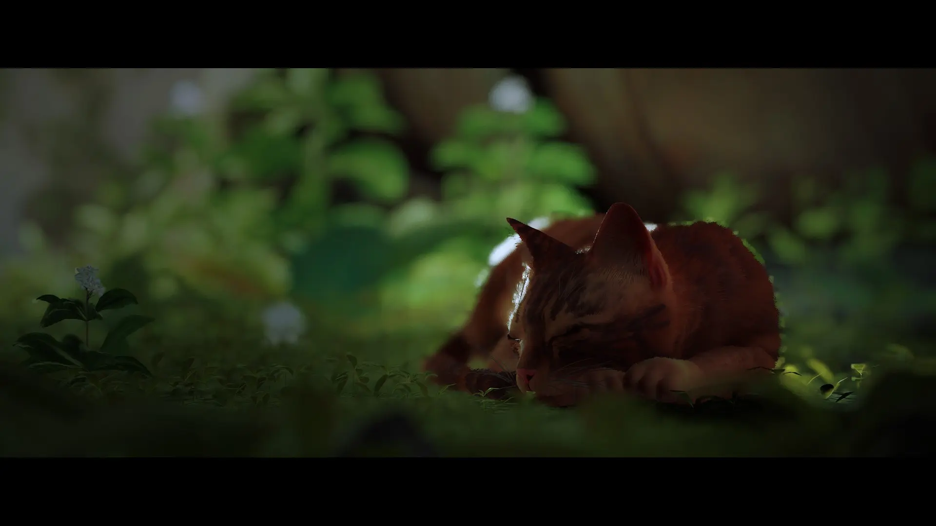 и можно на боковую