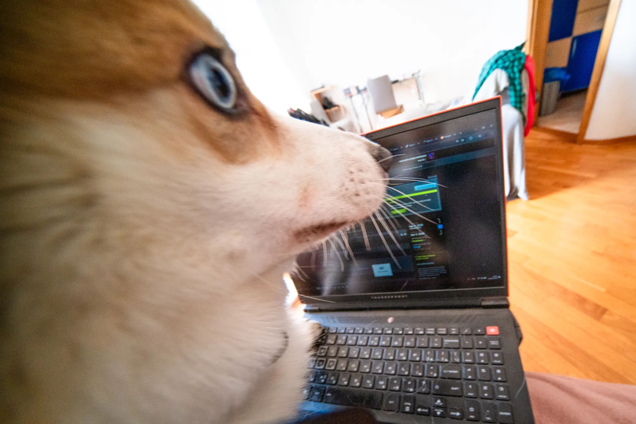 Как это было