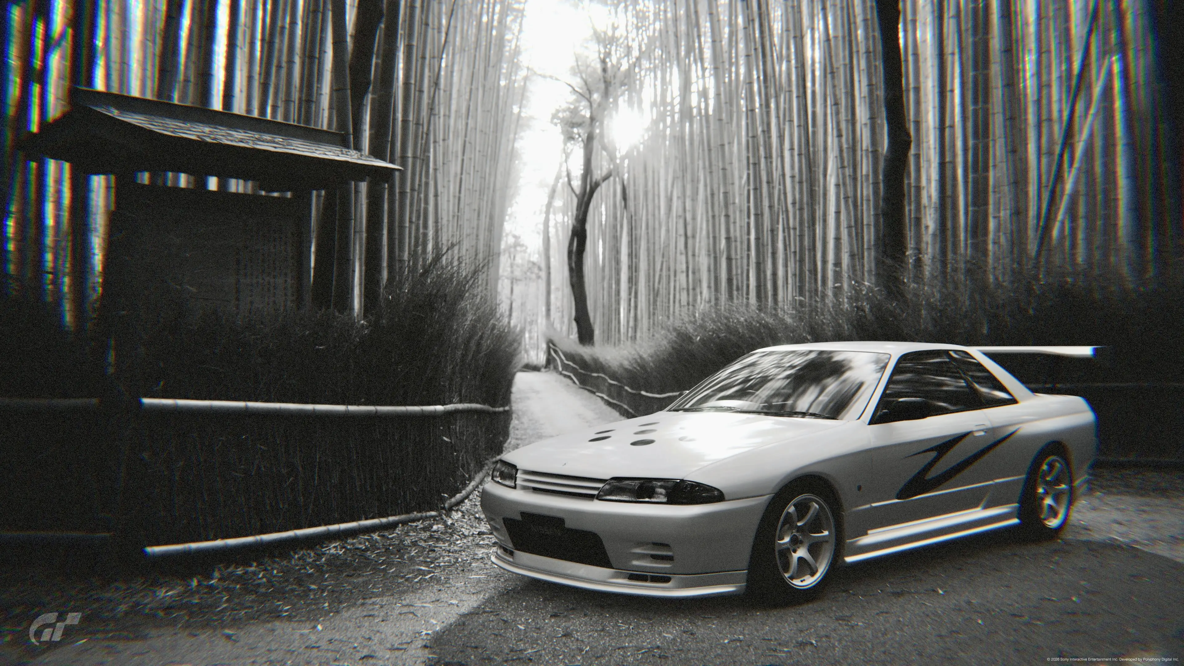 На пути к бабуле через бамбуковый лес