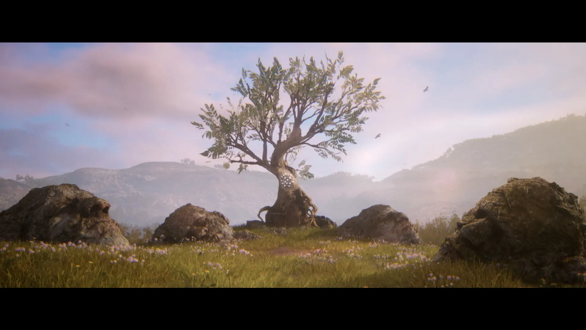 деревья за скрытыми лицами