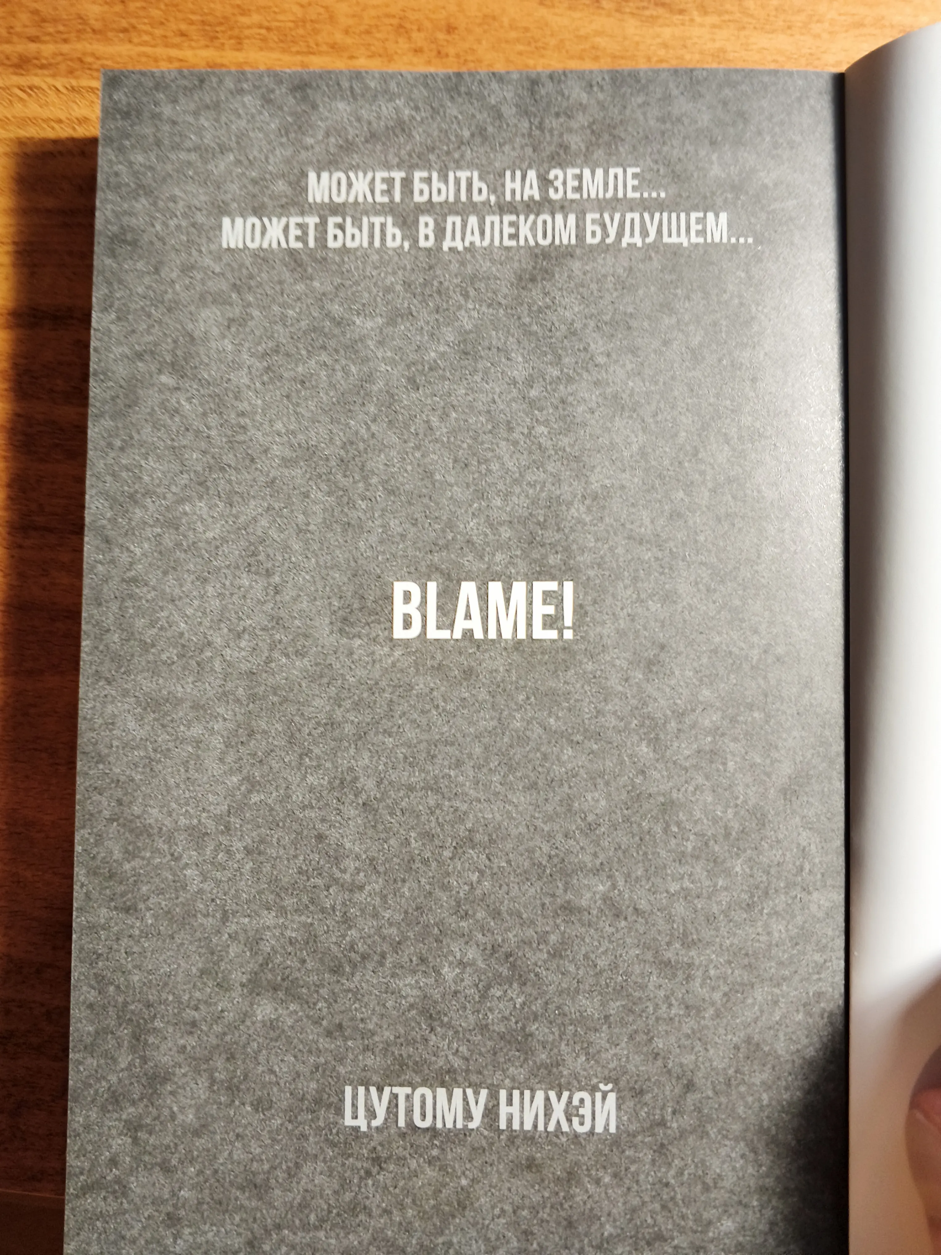 Первые слова демонстрируют одно из чувств, что будет сопровождать нас при чтении — неопределённость и минимум информации о деталях происходящего