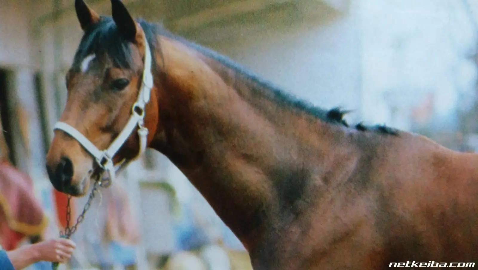 Император собственной персоной, демонстрирует полумесяц, источник фото netkeiba