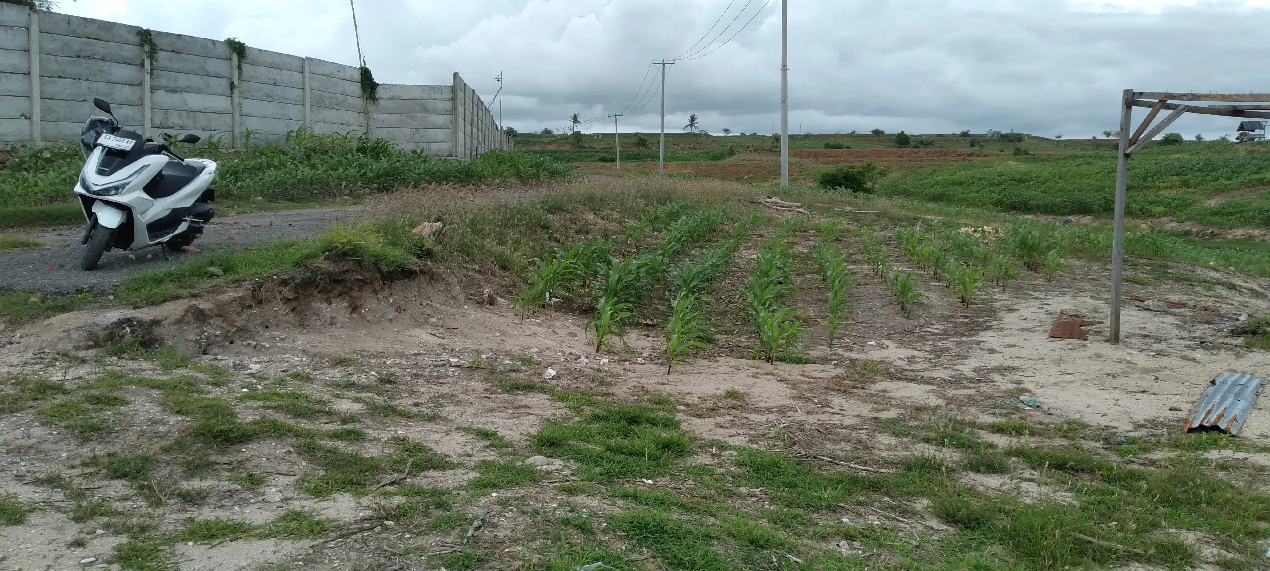Мой конь в этом путешествии. Очень мягкий ход, понравился больше чем NMax. А это Pcx 160
