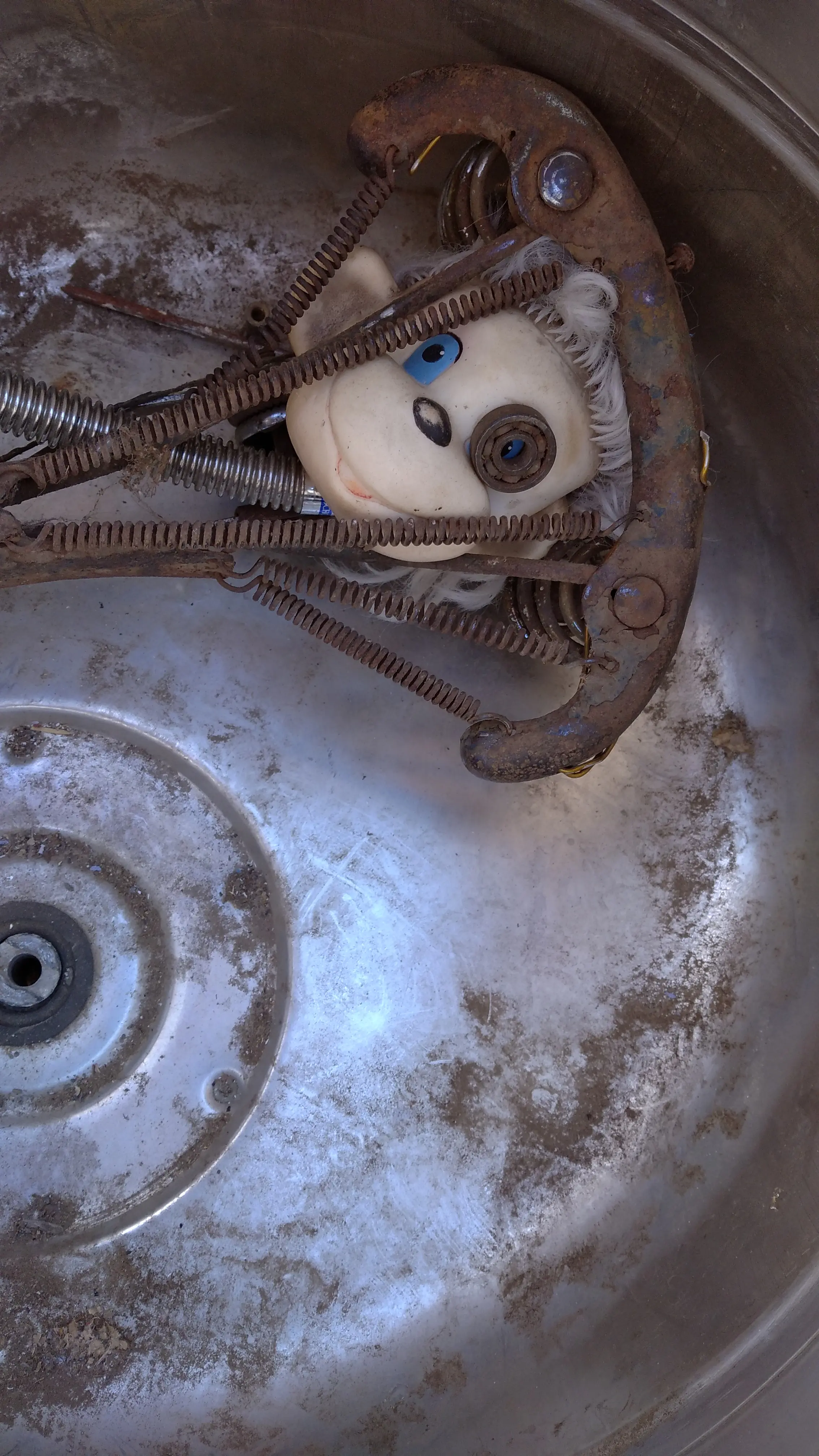 Процесс создания цифрового буклета