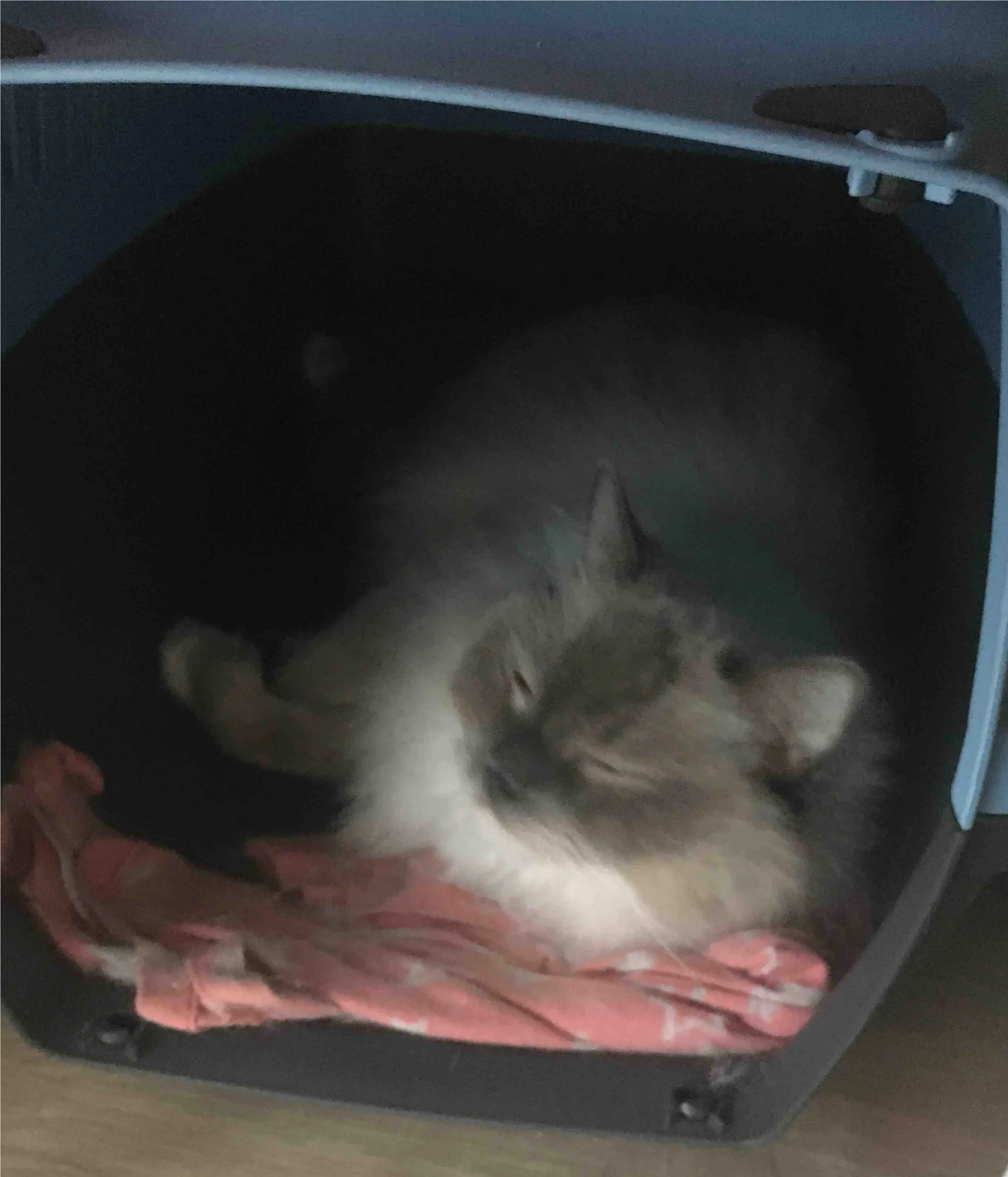 впервые за долгое время могу ей не завидовать такие моменты, выспался.