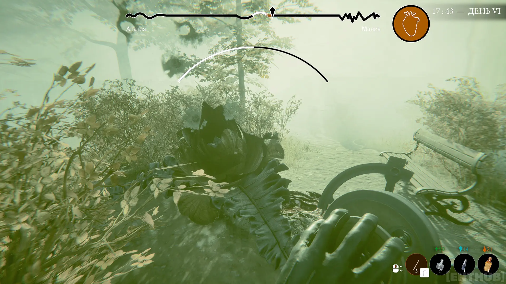 Цветок. Да, не самый красивый