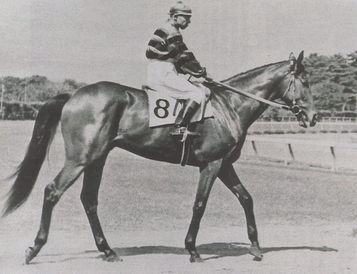 источник фото - википедия.