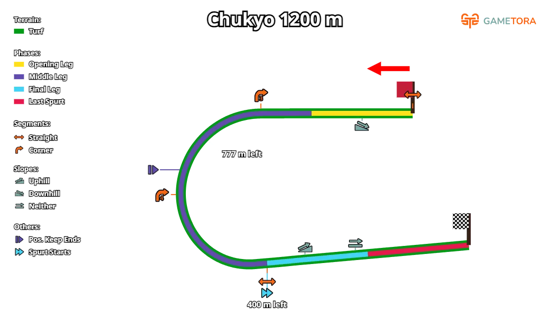 Карта трека, источник gametora.com    