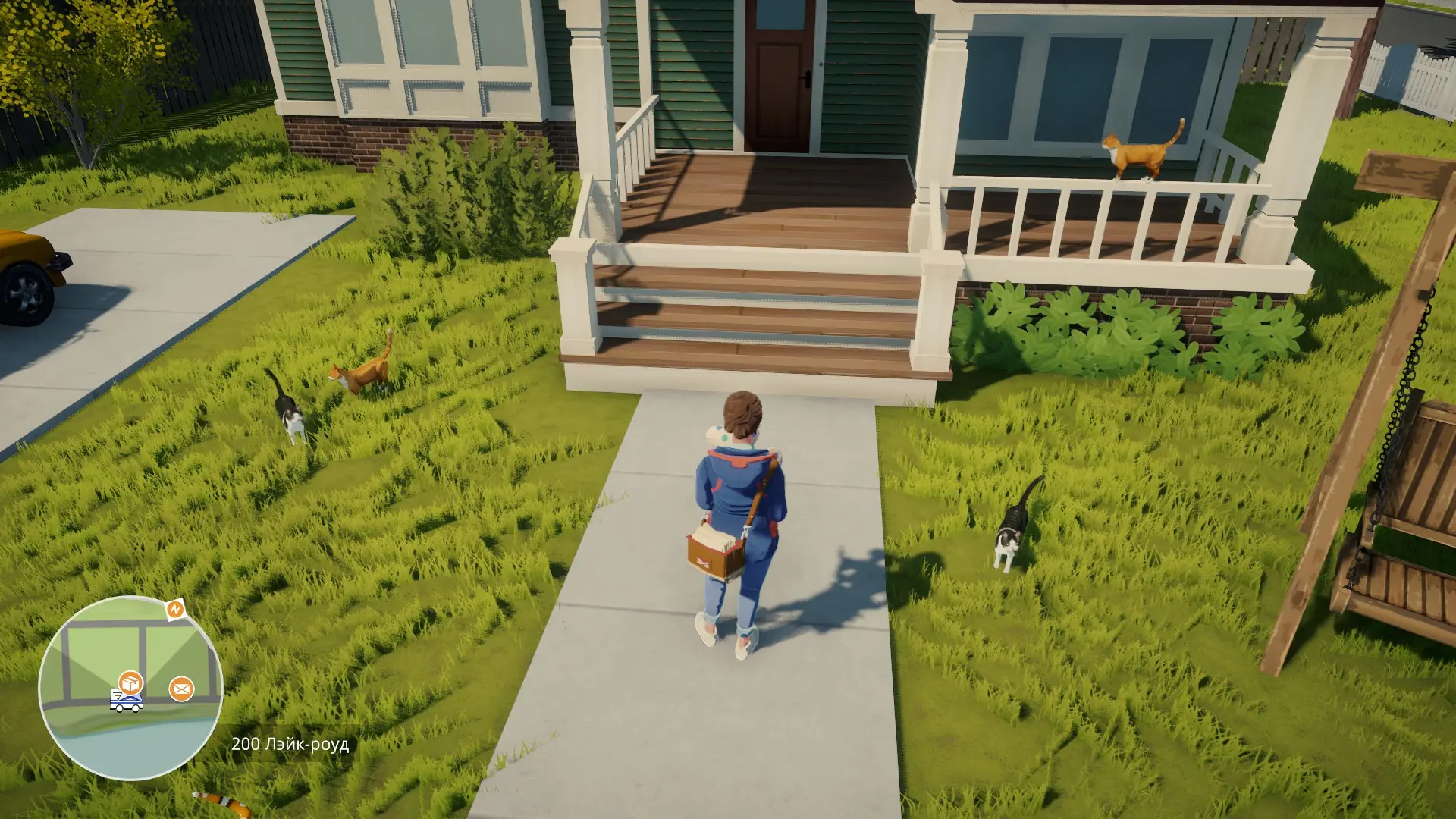 Сколько кошек на картинке?