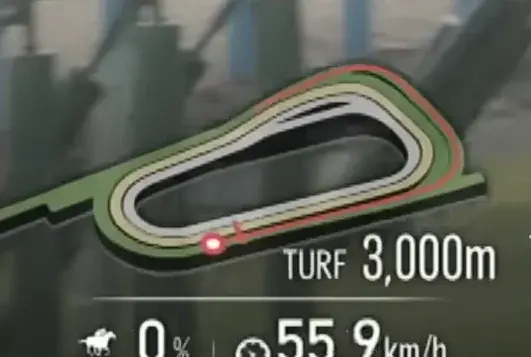 скриншот из ютуб трансляции гонки на данном треке ирл Kikuka Sho