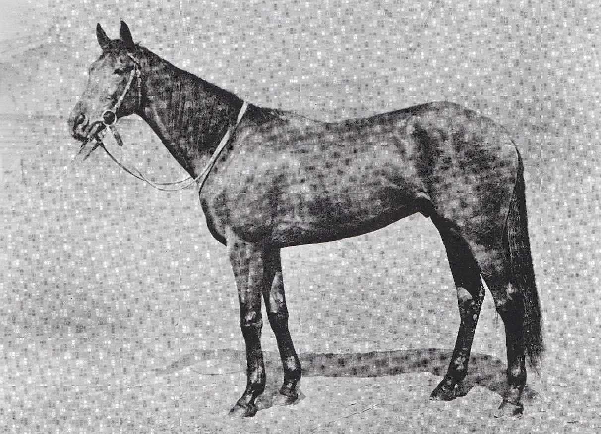 Tokino Minoru, фото из википедии