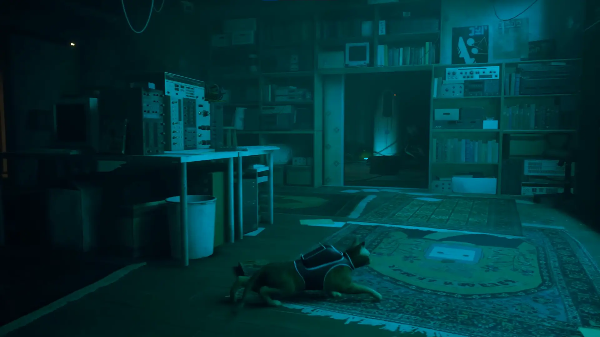 когда кот впервые получает рюкзачок он первое время начинает вот так смешно ползать, прям как реальные коты, это просто до смерти умиляет