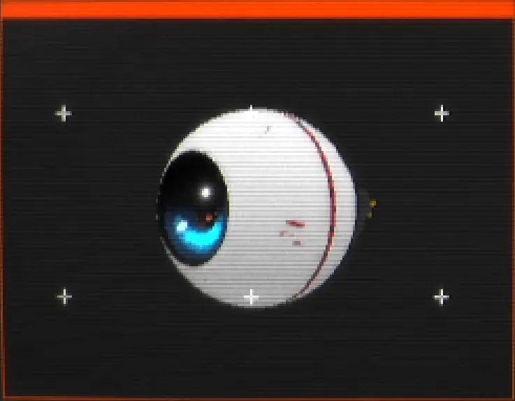 разрабы даже предусмотрительно добавили в игру целый предмет и механику, чтобы ты не парился с листочками и ручками. вот этот глаз может делать до 6 фотографий и хранить в памяти, просто сфоткай важную для загадки инфу и проверяй когда требуется