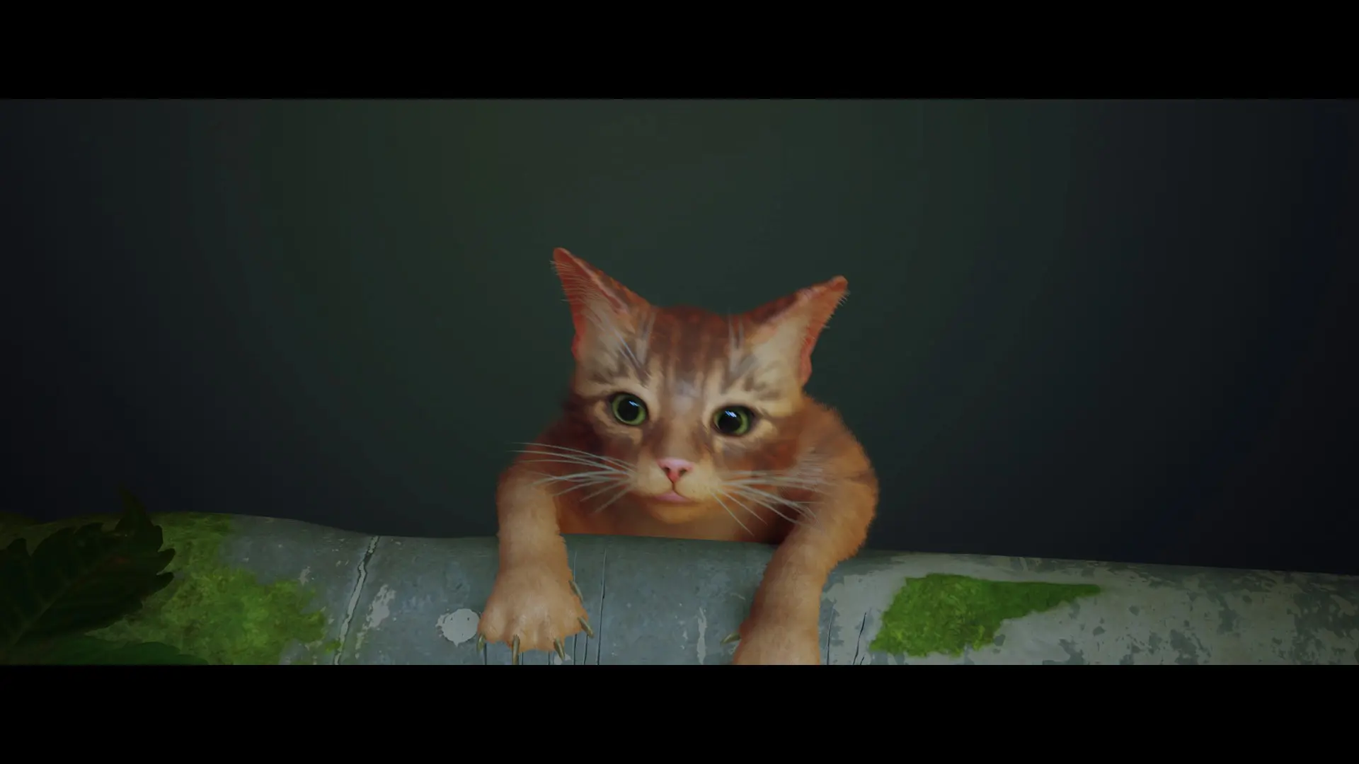 "лонг лив зе кинг" (с)