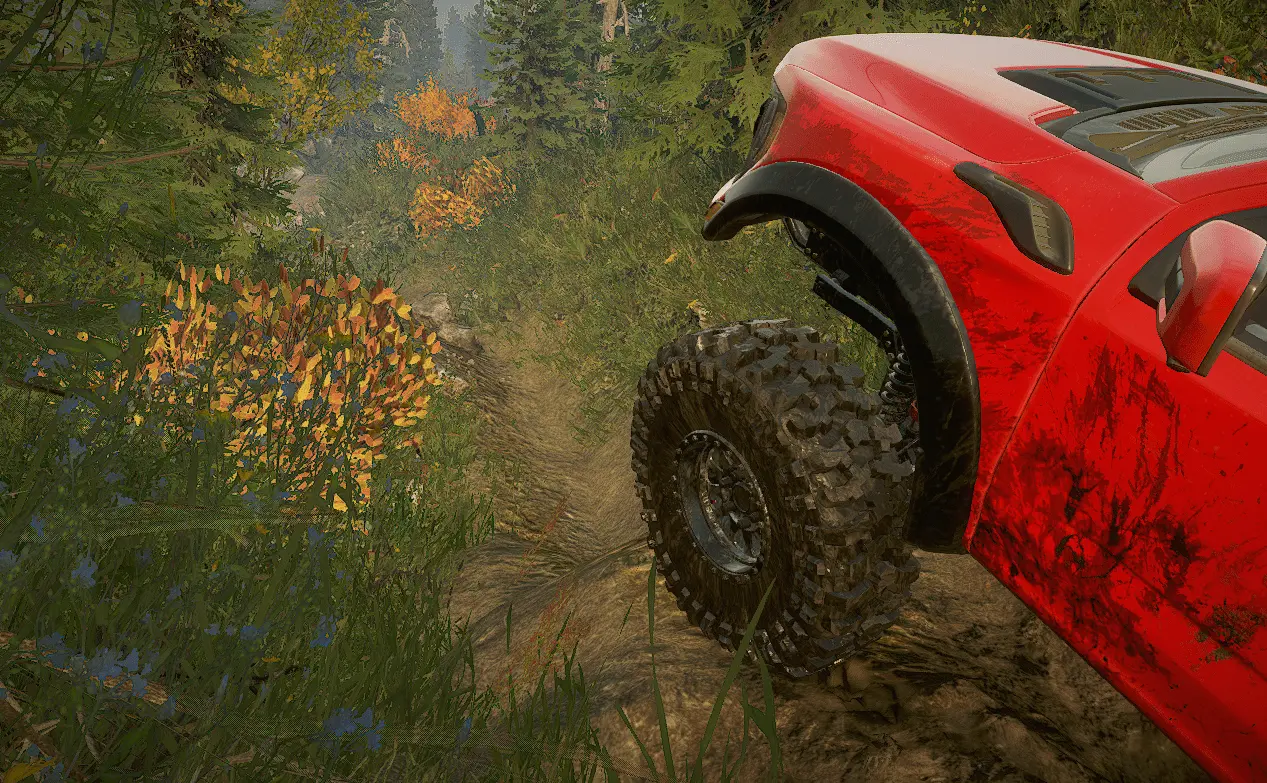 Еще крупный план. Такие тут дорожки.