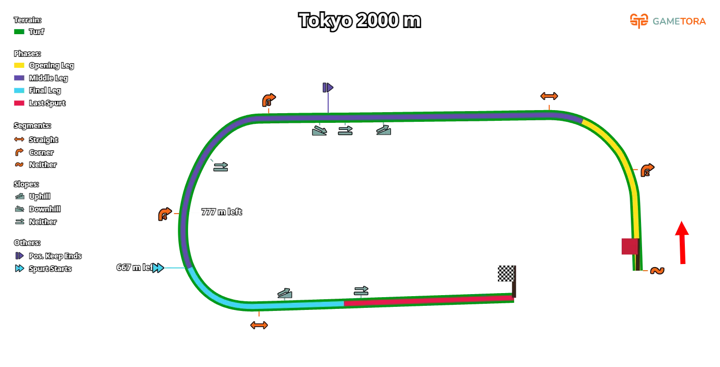 Карта трека, источник gametora.com  
