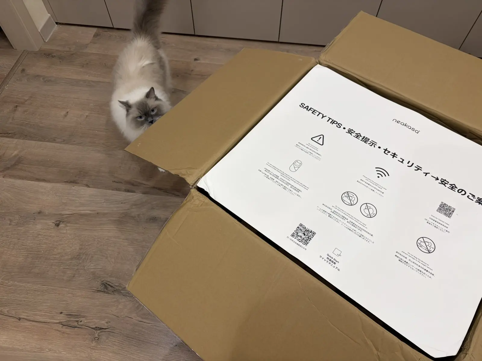 кошачья таможня даёт добро