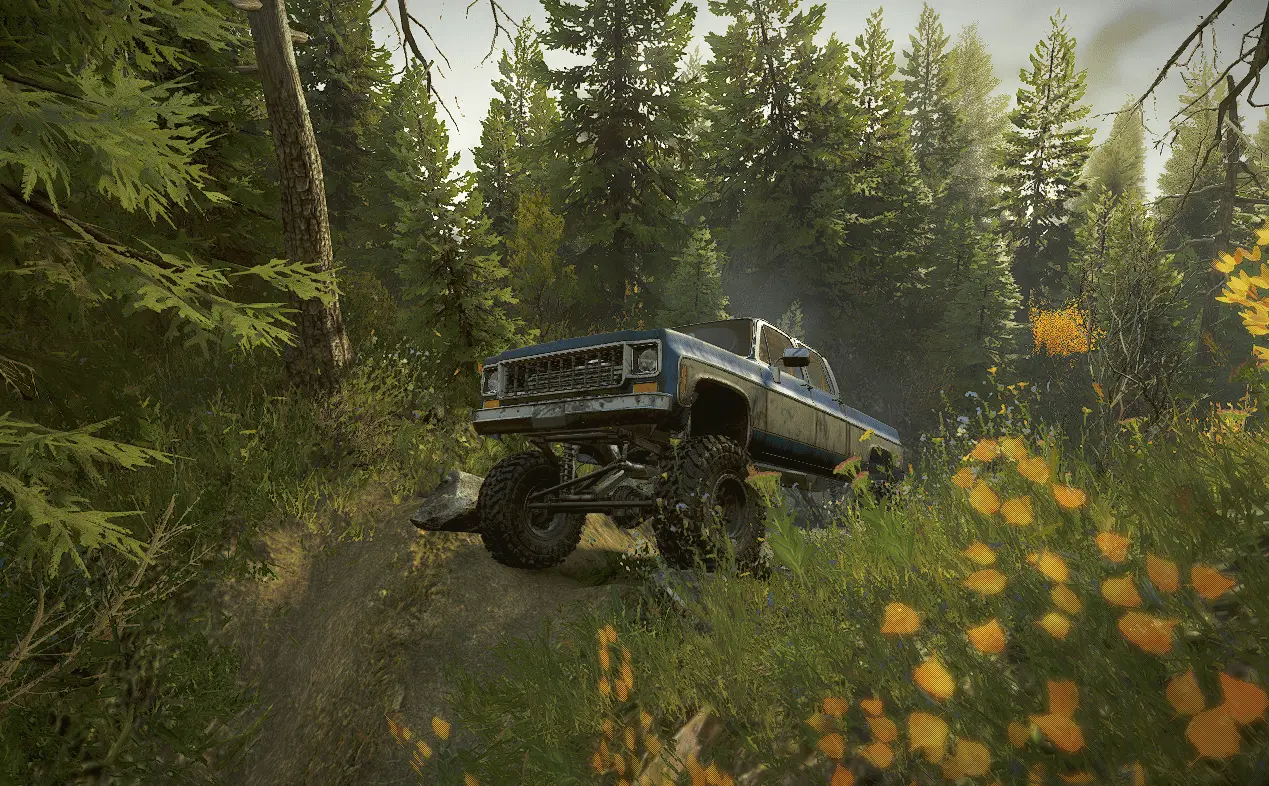 Атмосфера дикого леса