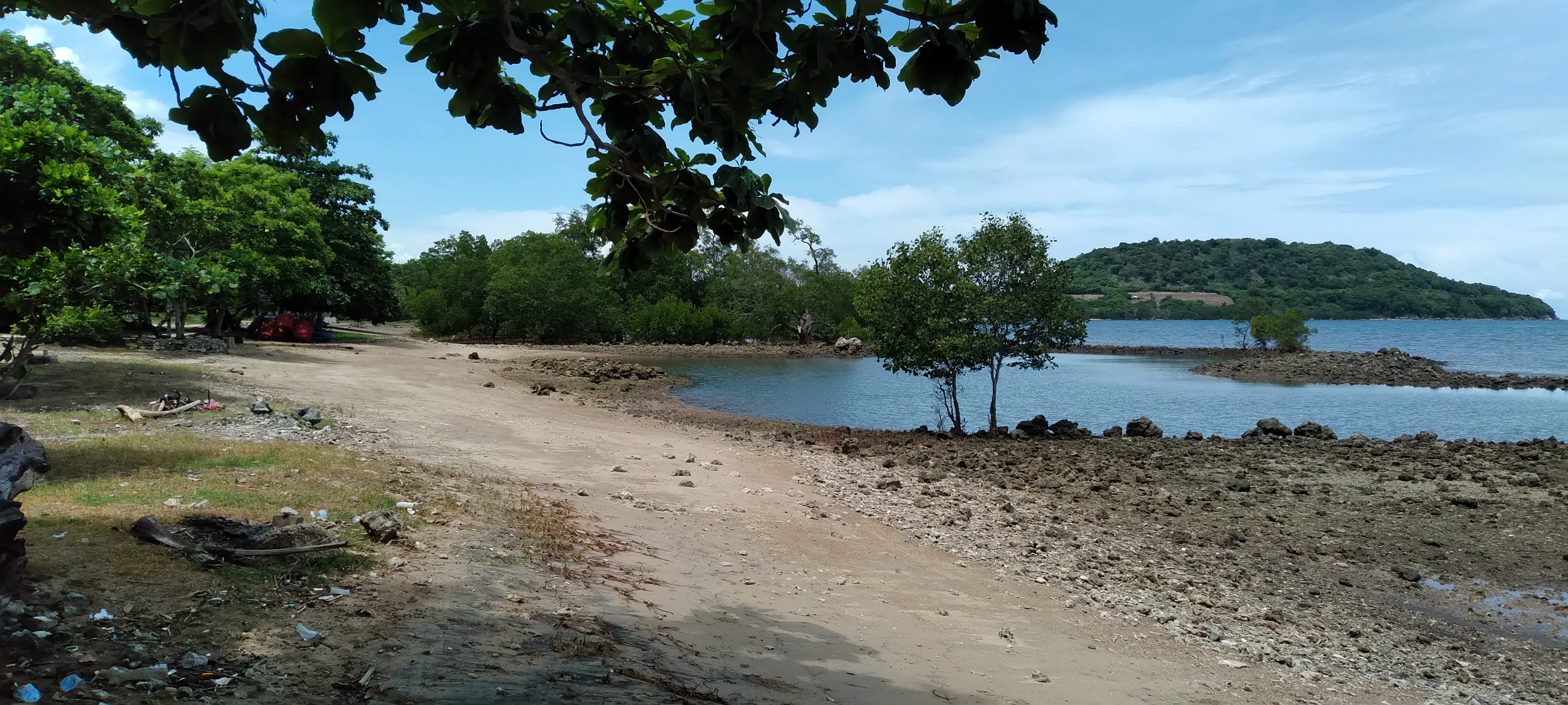 Большинство пляжей и побережья выглядит так. ОЧЕНЬ много мангровых зарослей, отчего нормально не покупаться