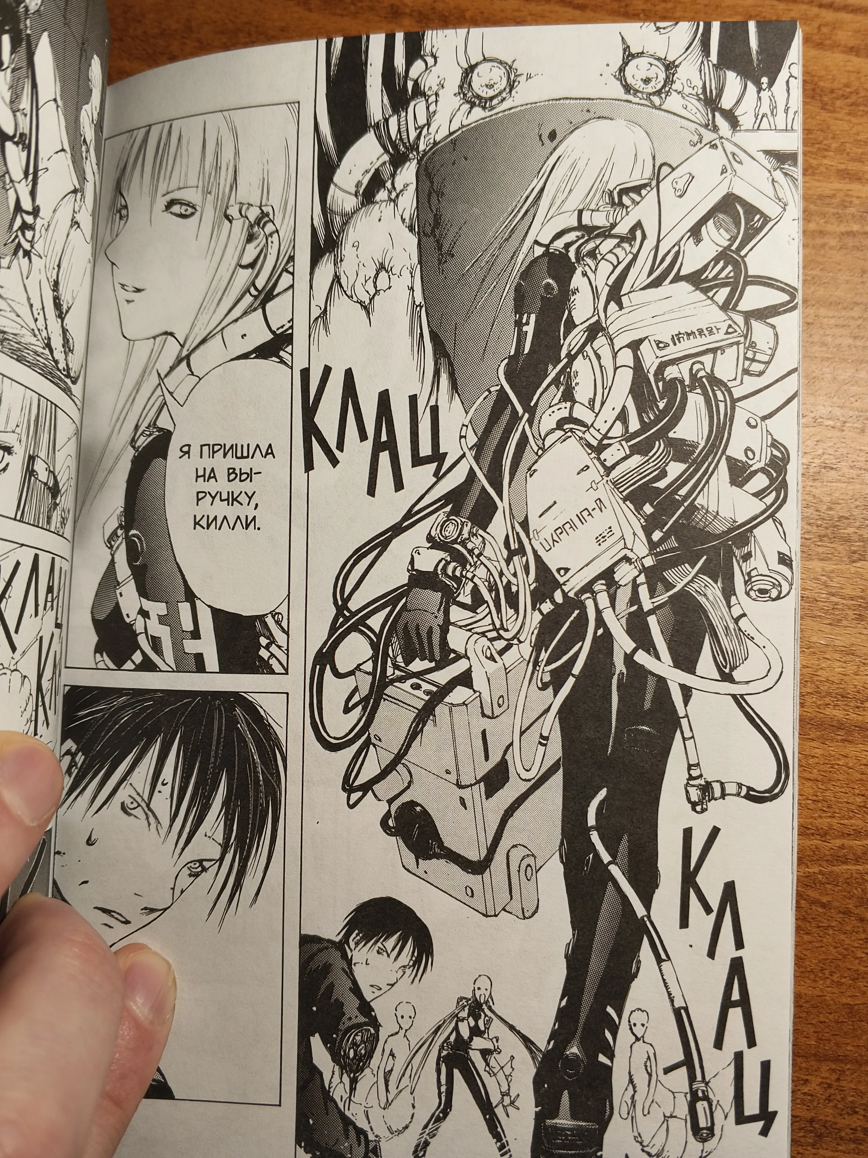 Сибо, новая спутница Килли