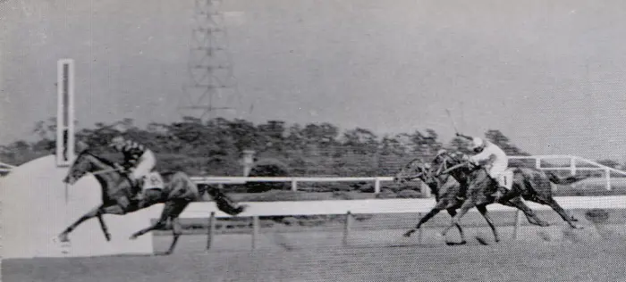 Фото победы в Satsuki Sho, фото из википедии