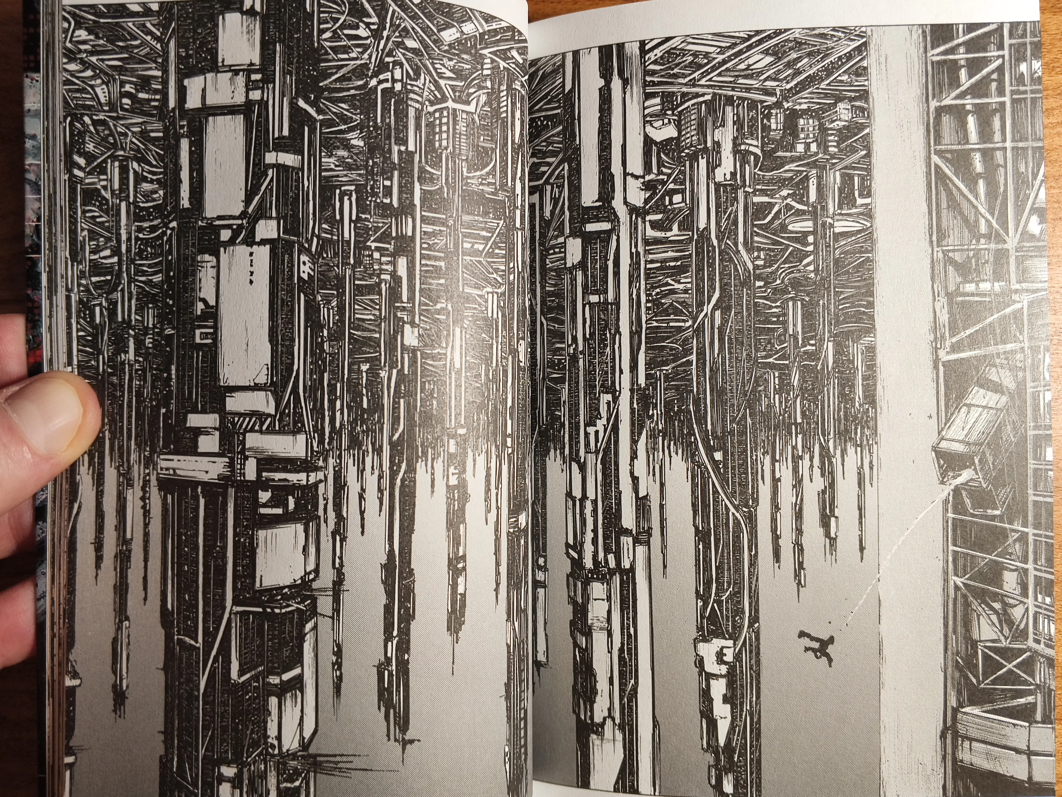 Найди летящего Килли. Если перевернуть вверх ногами будет смешнее, будто им выстрелили из пушки