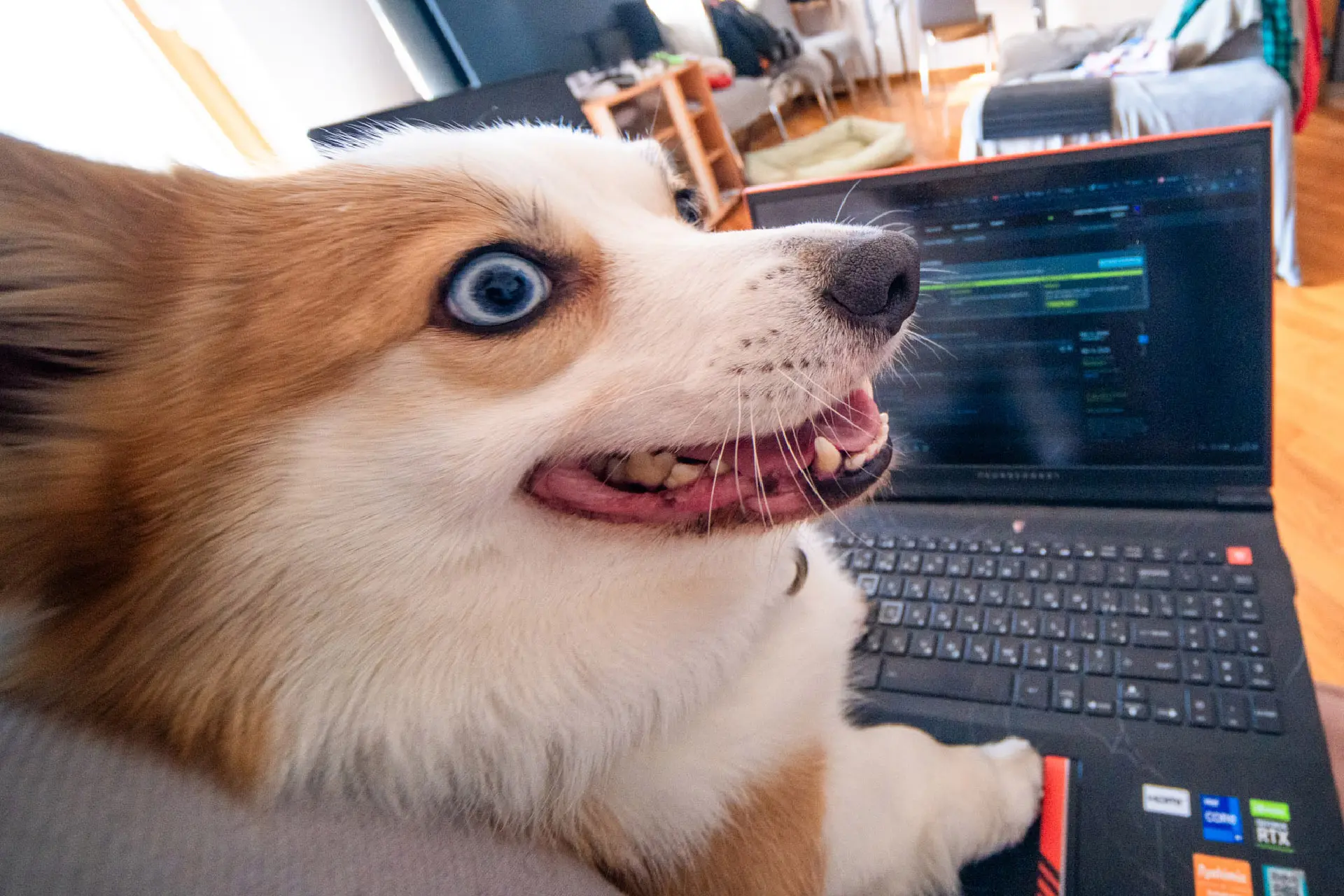 Как это было