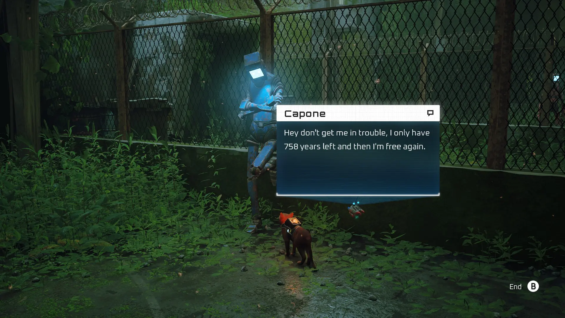 капоне и тут чалится