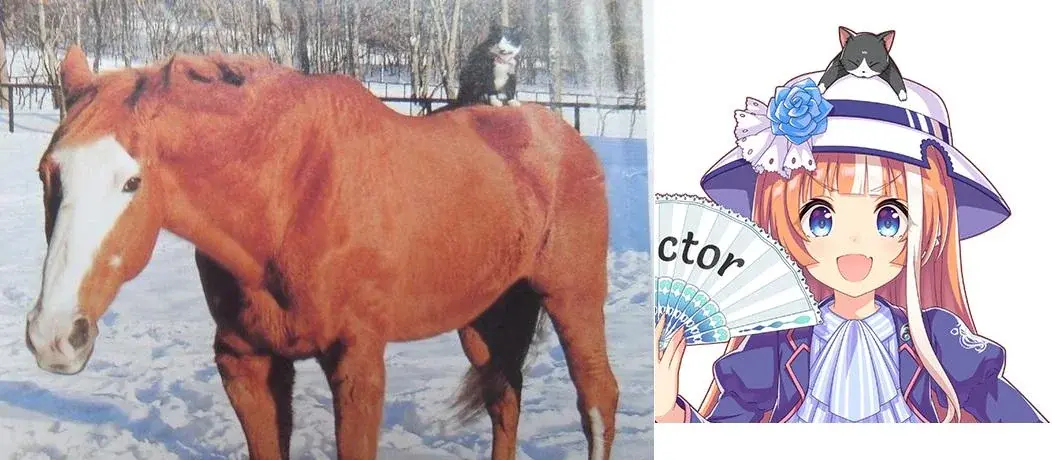 совпадение? не думаю