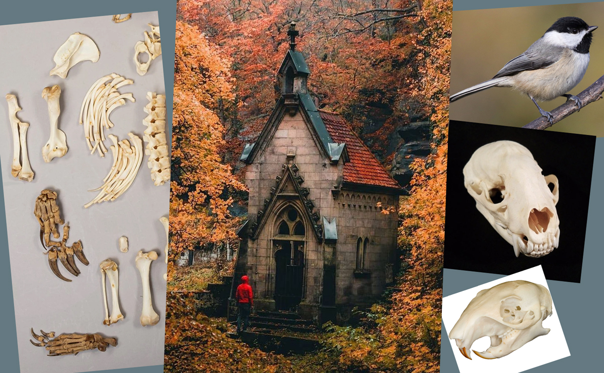 Костяная юрта Бастиана в рассказе «Дикий волк» и референсы часовни, поползня и костей.