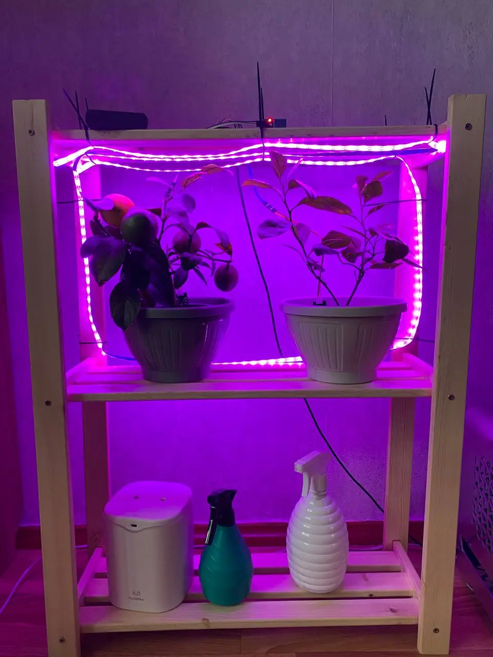 типа итоги MVP