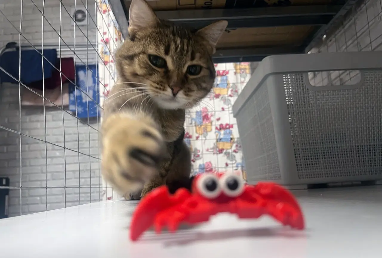 Преступник уже найден и наказан - будет оставлен завтра без ужина XD