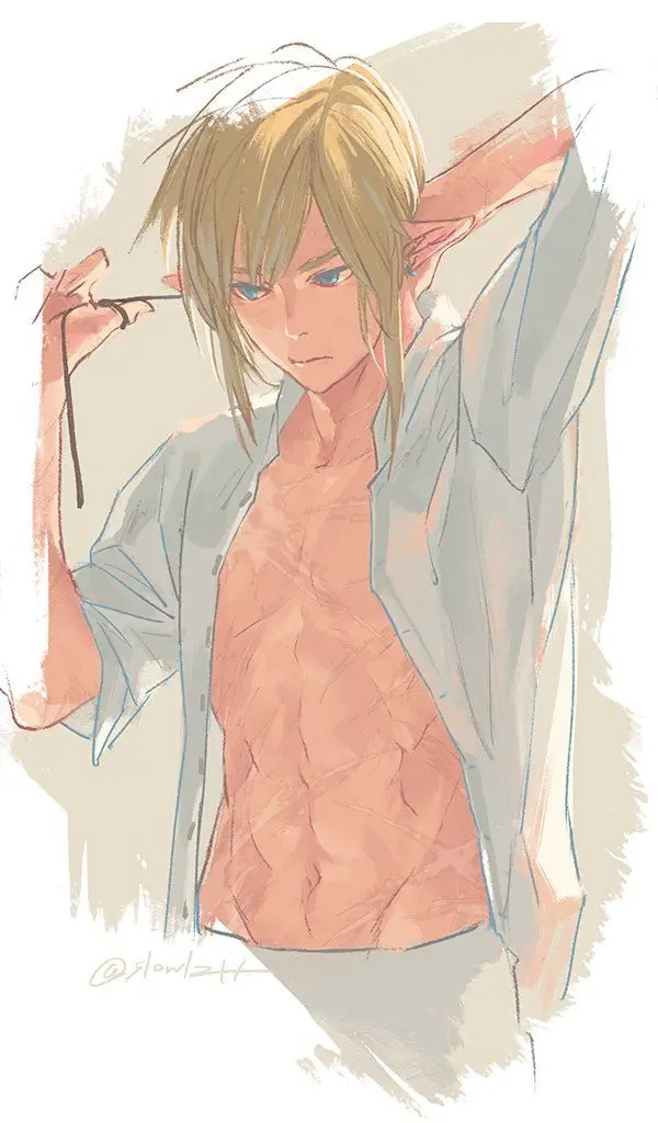 Линк, чисто для парней. Зельда для девушек попозже будет.