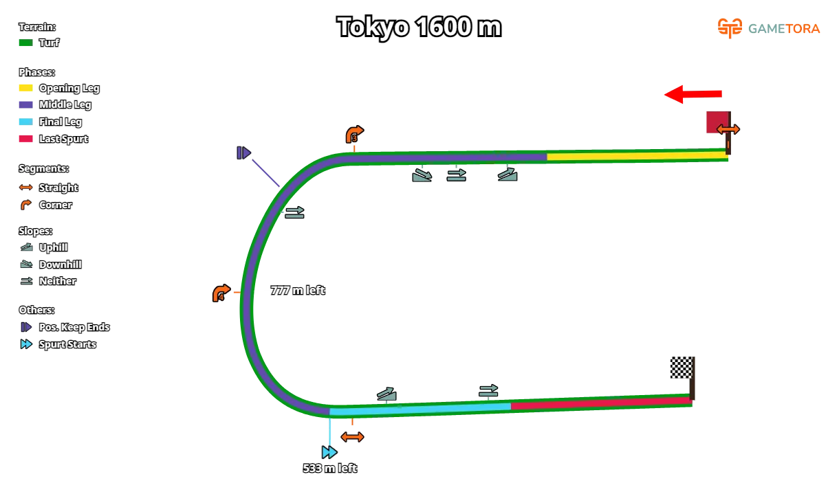 Карта трека, источник gametora.com