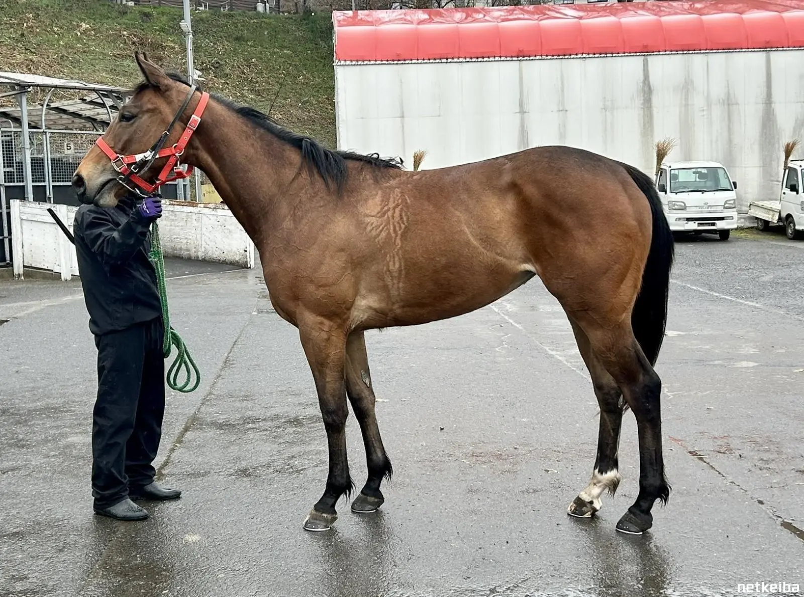 Достойная наследница своих знаковых предков
