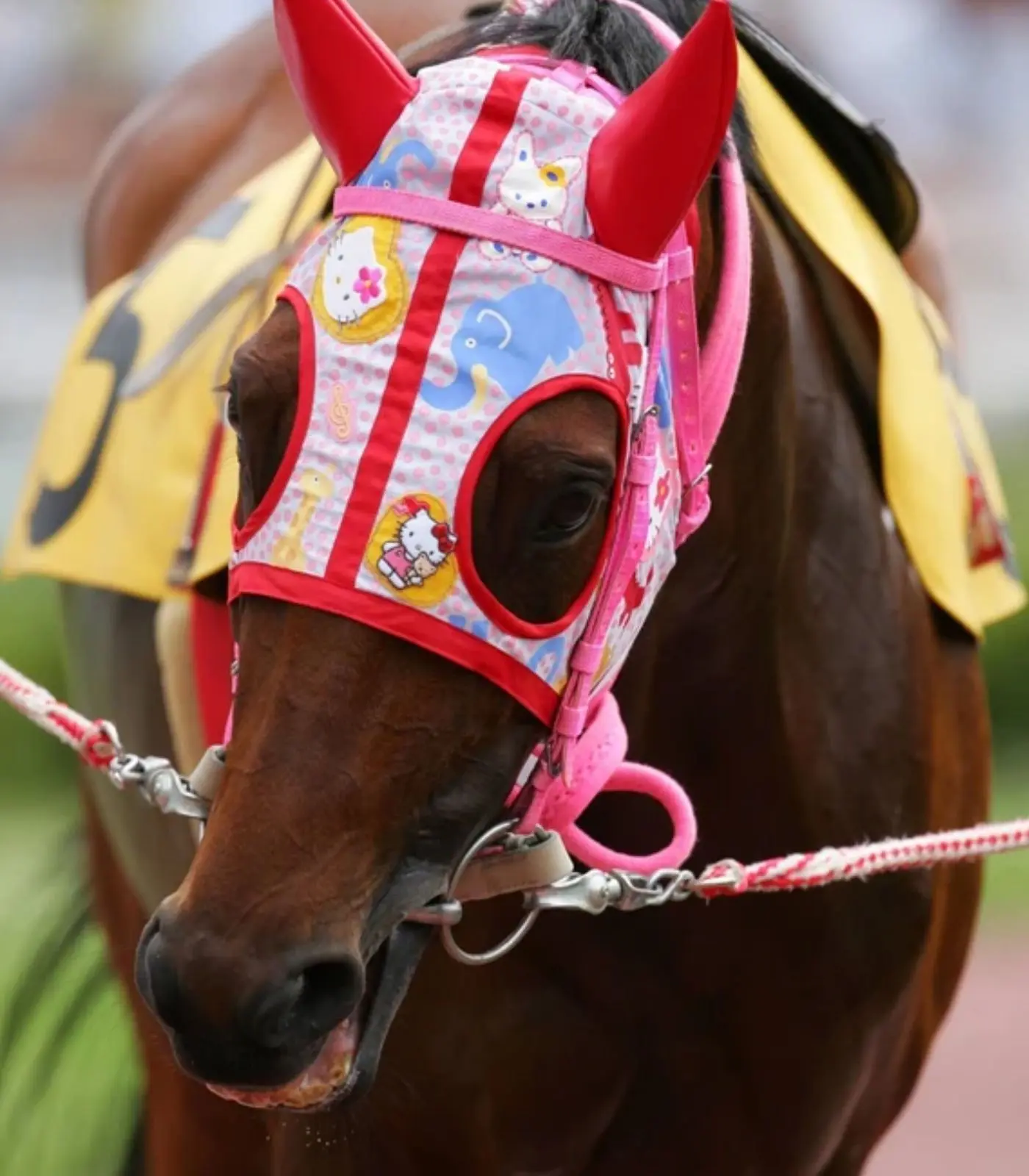 Урара в фирменной гоночной маске с Hellokitty 