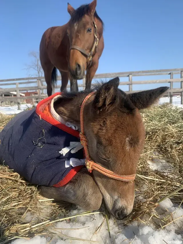 детские фото