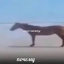 почему