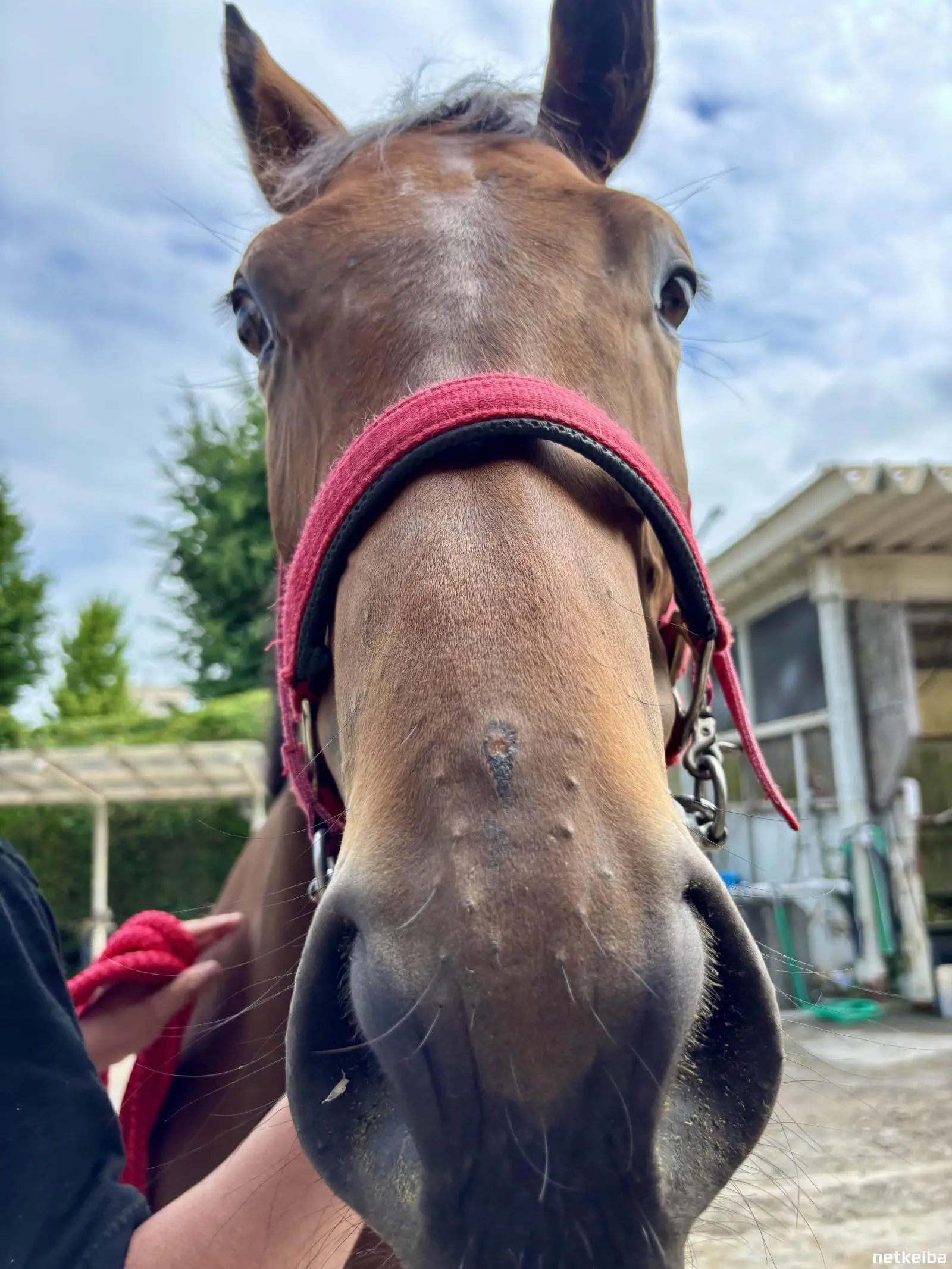 актуальные фото