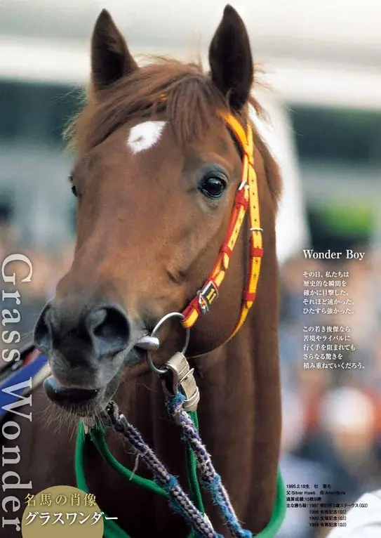 какой красавец!