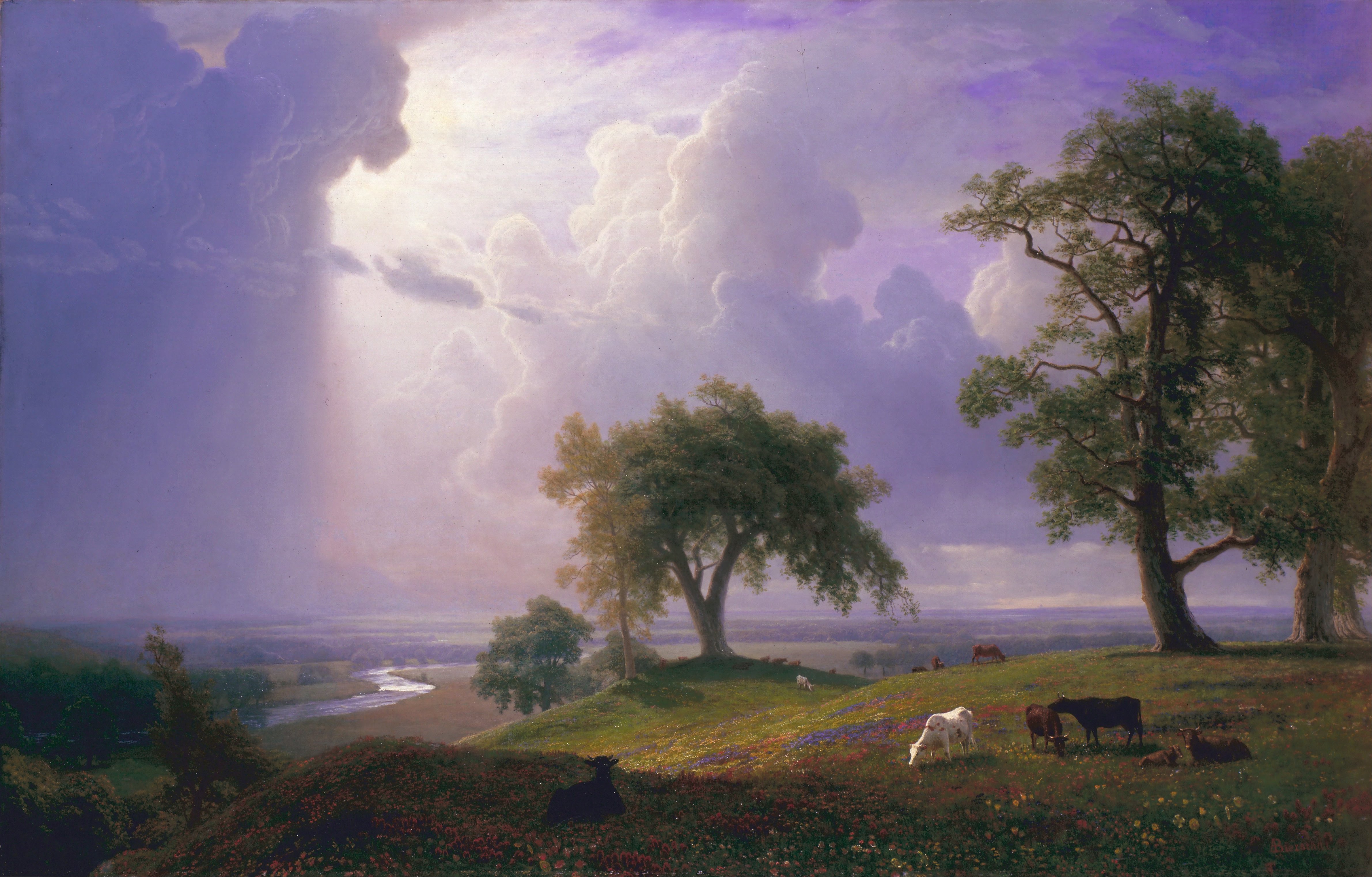 «Калифорнийская весна» 1875 г.