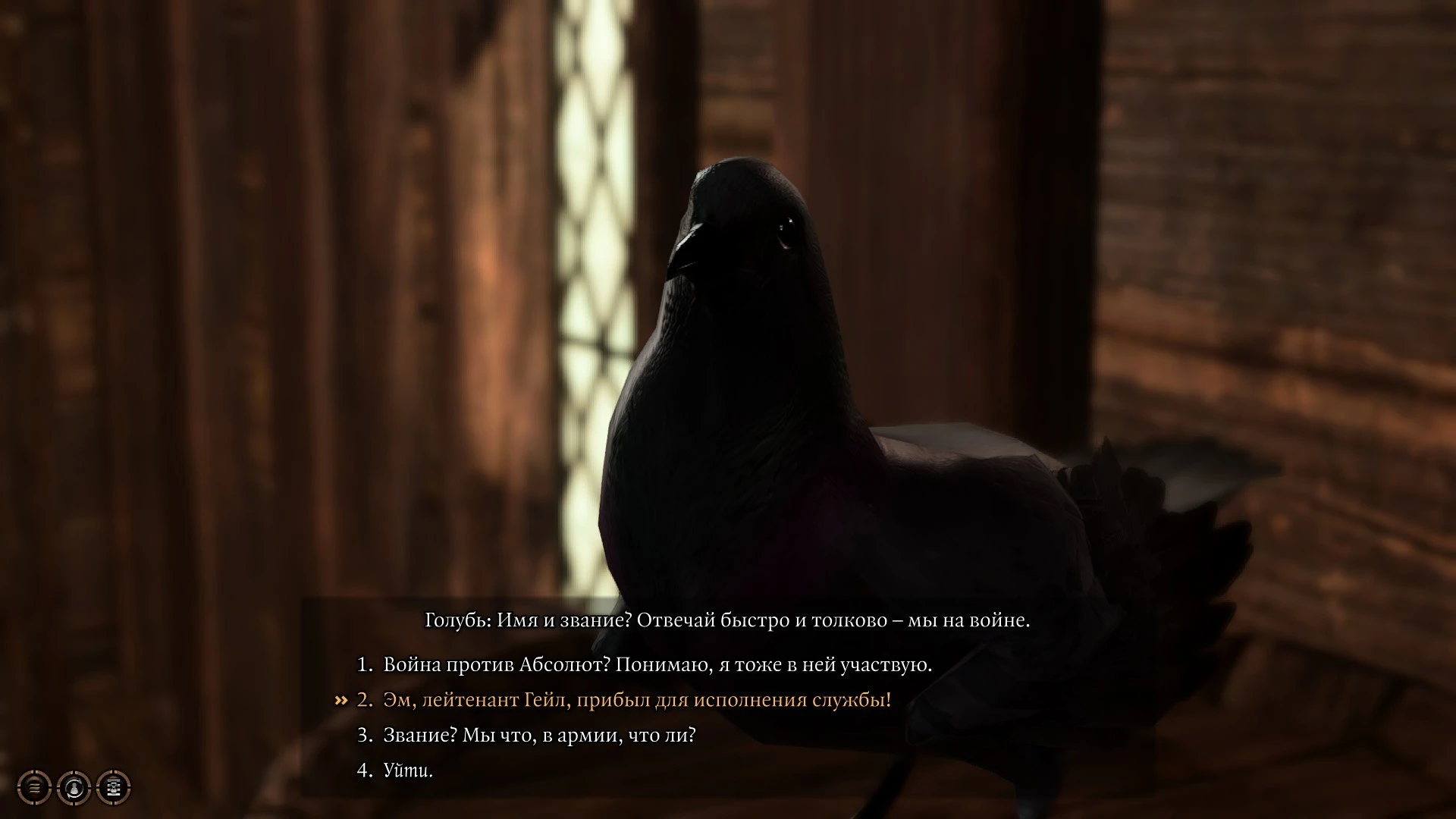 Общение с голубем в Baldurs Gate 3.